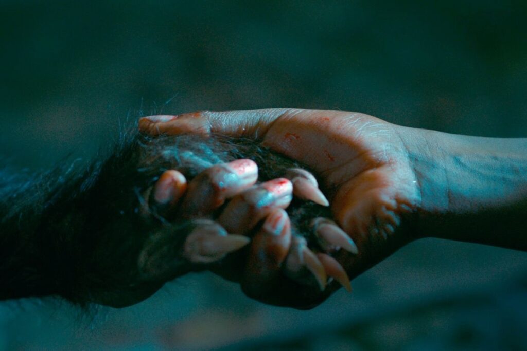 As_Boas_Maneiras os cinéfilos filmes de terror brasileiro