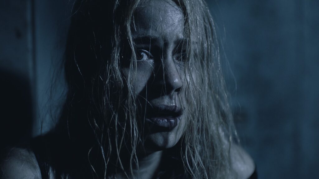 The wake - os cinéfilos