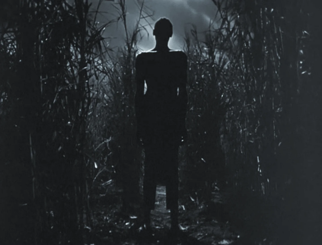 Veja filmes de terror antigo que entraram para a história