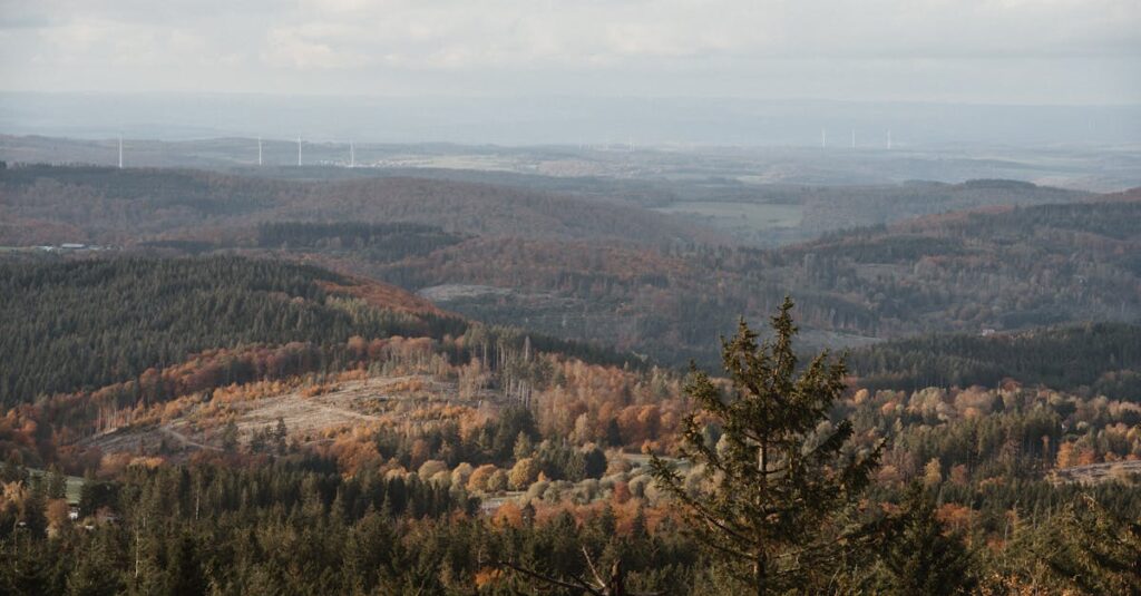 Trailer e elenco confirmados da temporada 4 de Love on the Spectrum