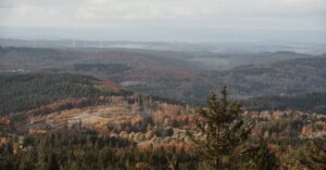 Trailer e elenco confirmados da temporada 4 de Love on the Spectrum