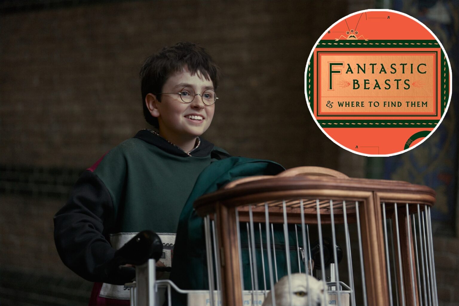 Série de Harry Potter na HBO incluirá criaturas como flubberworms e fire crabs