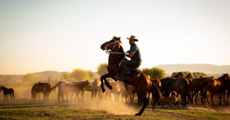 Netflix pede calma sobre lance de Steel Ball Run na plataforma Netflix pede calma sobre lance de Steel Ball Run na plataforma