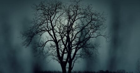 Série de terror que domina o Netflix entre as mais assistidas Série de terror que domina o Netflix entre as mais assistidas