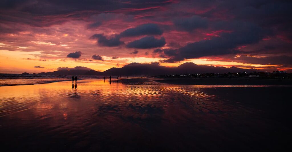 Trailer de Remarkably Bright Creatures revela atuação comovente de Sally Field