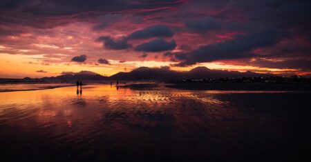 Trailer de Remarkably Bright Creatures revela atuação comovente de Sally Field Trailer de Remarkably Bright Creatures revela atuação comovente de Sally Field