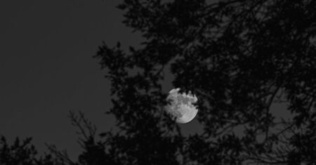 14 filmes de terror imperdíveis para assistir no HBO Max em abril 14 filmes de terror imperdíveis para assistir no HBO Max em abril