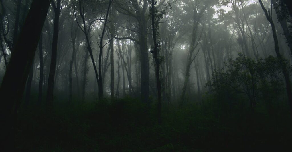 Duas séries sombrias de fantasia sobre adotar crianças sem querer