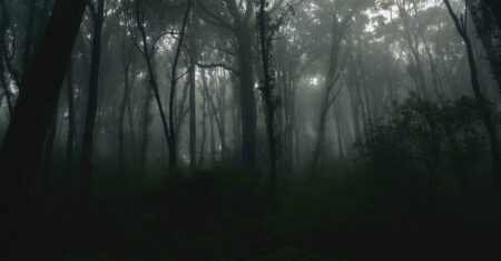 Duas séries sombrias de fantasia sobre adotar crianças sem querer