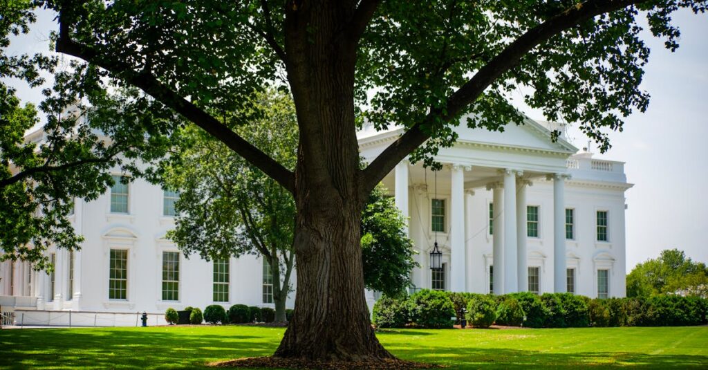 Trump domina série documental da Netflix sobre Hulk Hogan
