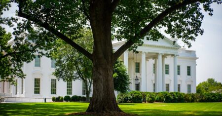 Trump domina série documental da Netflix sobre Hulk Hogan